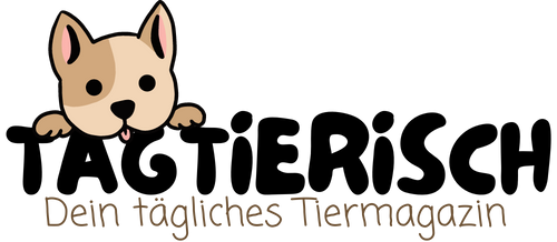 Startseite - Tagtierisch
